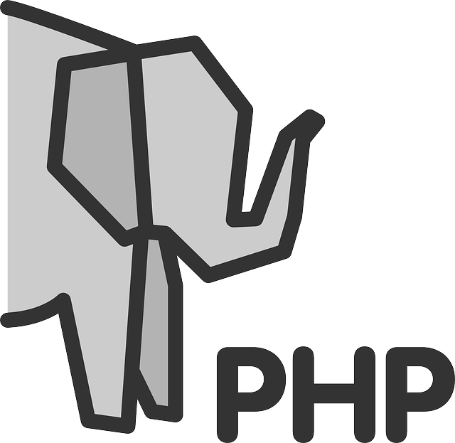 php web developer